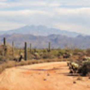 Meet your Posher, Hendricks